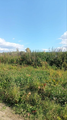 Купить земельный участок в Новосибирске. Вариант № 5304629, 0, площадь -  квм, цена 270000 рублей