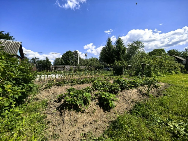 Купить земельный участок в Смоленской области. Вариант № 48395, 10, площадь -  квм, цена 350000 рублей