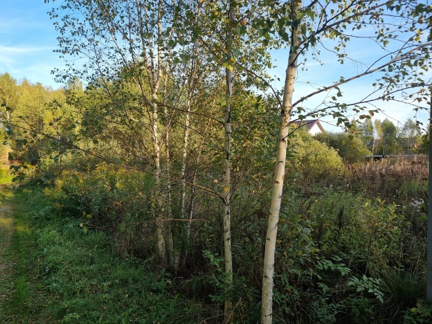 Купить земельный участок в Коврове. Вариант № 4848960, 3, площадь -  квм, цена 650000 рублей