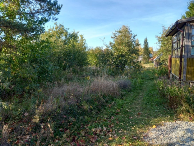 Купить земельный участок в Петрозаводске. Вариант № 5453651, 11, площадь -  квм, цена 1500000 рублей