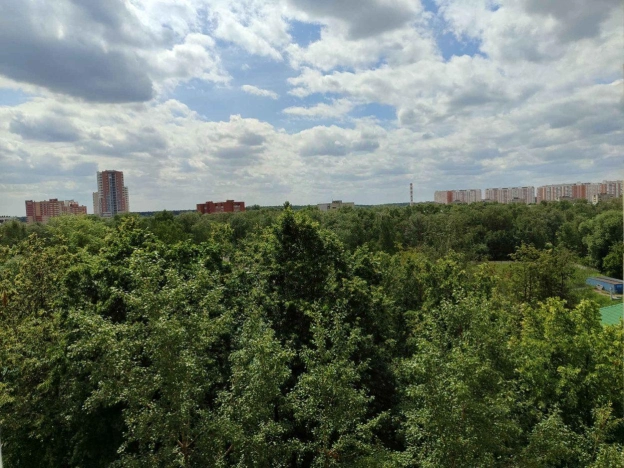 . Вариант № 8481485, 35, площадь - 57.3 квм, цена 10650000 рублей