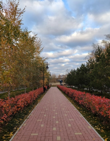 Купить трехкомнатную квартиру в Новосибирске. Вариант № 7192853, 45, площадь -  квм, цена 19000000 рублей