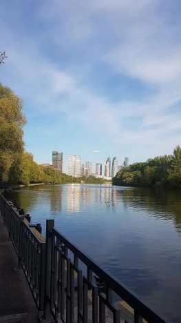 Купить квартиру в Москве. Вариант № 9067849, 11, площадь -  квм, цена 15800000 рублей