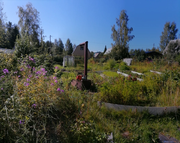 Купить земельный участок в Республике Коми. Вариант № 2839048, 1, площадь -  квм, цена 650000 рублей