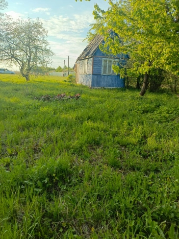 Купить дачу в Владимирской области. Вариант № 43607, 3, площадь -  квм, цена 370000 рублей