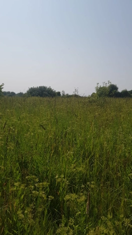 Купить земельный участок в Владимире. Вариант № 1429, 1, площадь -  квм, цена 270000 рублей