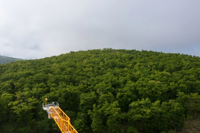 Купить двухкомнатную квартиру в новостройках в Приморском крае. Вариант № 4136939, 3, площадь -  квм, цена 10592700 рублей