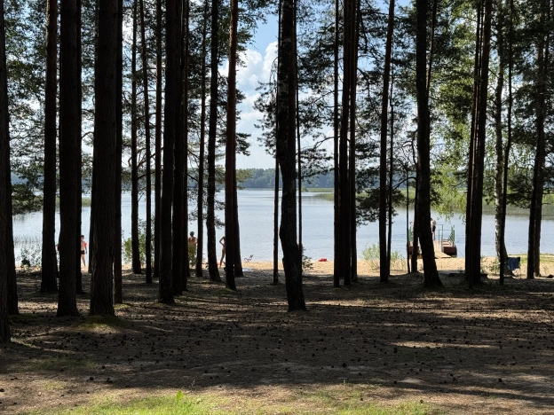 Купить дом в Ярославской области. Вариант № 1311140, 12, площадь -  квм, цена 1250000 рублей