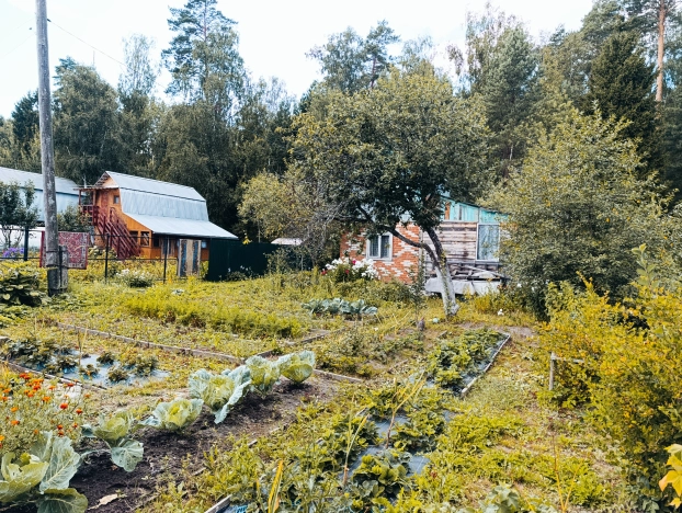 Купить дачу в Владимирской области. Вариант № 10751, 16, площадь -  квм, цена 630000 рублей