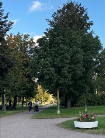 Купить двухкомнатную квартиру в районе Красногвардейский в Санкт-Петербурге. Вариант № 7037802, 3, площадь -  квм, цена 11800000 рублей