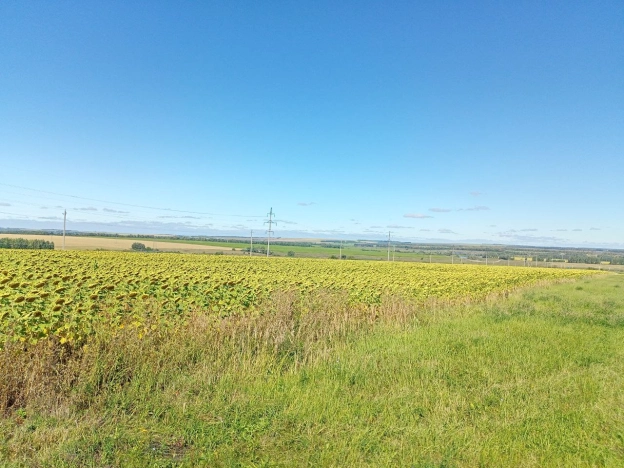 Купить земельный участок в Пензе. Вариант № 3829144, 0, площадь -  квм, цена 9720000 рублей