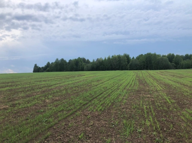 Купить земельный участок на улице Белые Ночи в Вологодской области. Вариант № 6192, 5, площадь -  квм, цена 550000 рублей