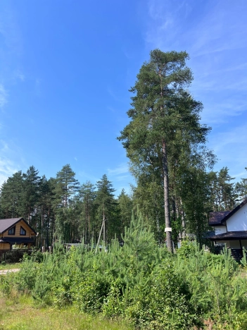 Купить земельный участок у метро Рыбацкое в Ленинградской области. Вариант № 2030388, 3, площадь -  квм, цена 3390000 рублей