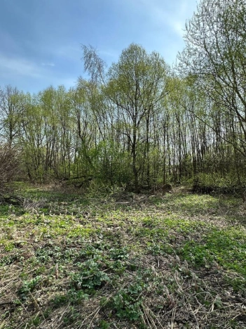 Купить дом в Иванове. Вариант № 38438, 36, площадь -  квм, цена 480000 рублей