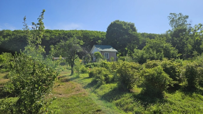 Купить земельный участок в Арсеньеве. Вариант № 59815, 19, площадь -  квм, цена 1050000 рублей