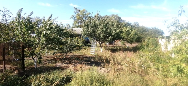 Купить дом на улице Васильковая в Краснодарском крае. Вариант № 4885573, 11, площадь -  квм, цена 1550000 рублей