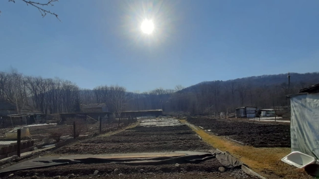 Купить земельный участок в Арсеньеве. Вариант № 1794, 5, площадь -  квм, цена 1300000 рублей