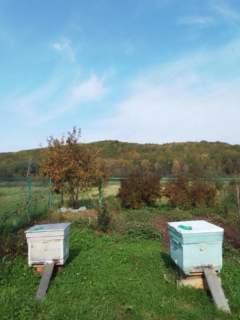 Купить дом на улице Центральная в Республике Башкортостан. Вариант № 38514, 16, площадь -  квм, цена 3500000 рублей