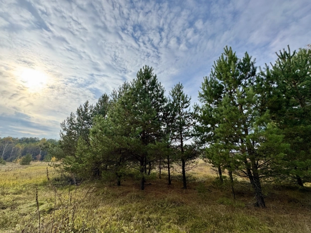 Купить земельный участок в Белоозёрском. Вариант № 7521206, 2, площадь -  квм, цена 750000 рублей