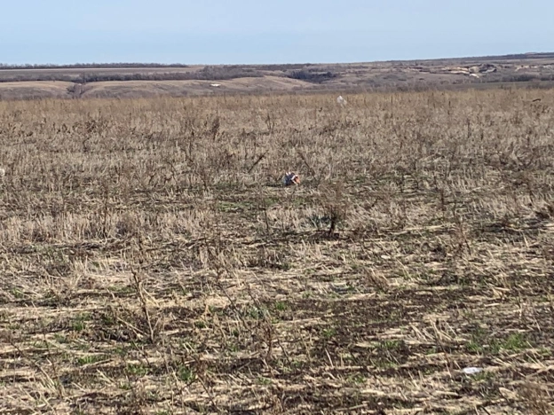 Купить земельный участок в Воронеже. Вариант № 33300, 3, площадь -  квм, цена 2200000 рублей