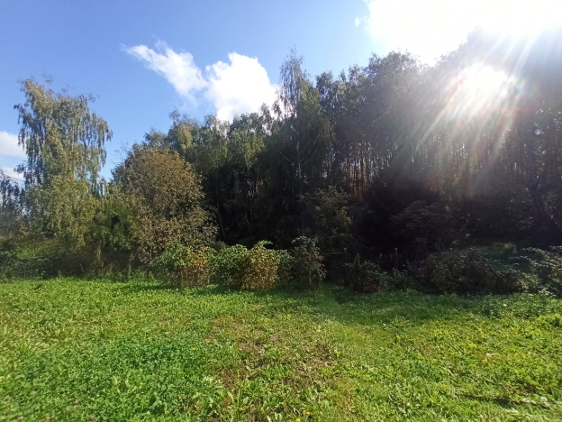 Купить земельный участок на улице Лесная в Лакинске. Вариант № 3877, 2, площадь -  квм, цена 350000 рублей