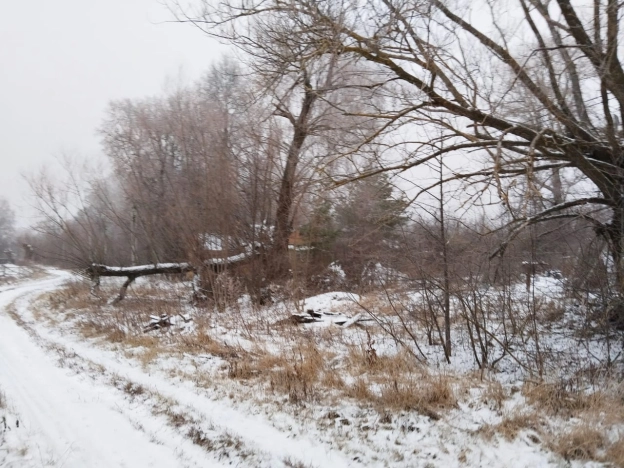 Купить земельный участок в Тульской области. Вариант № 19500, 13, площадь -  квм, цена 495000 рублей