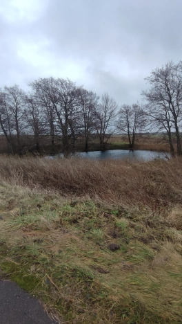 Купить земельный участок в Калининграде. Вариант № 4161, 5, площадь -  квм, цена 3900000 рублей