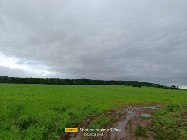 Купить земельный участок в Арсеньеве. Вариант № 1174, 0, площадь -  квм, цена 550000 рублей