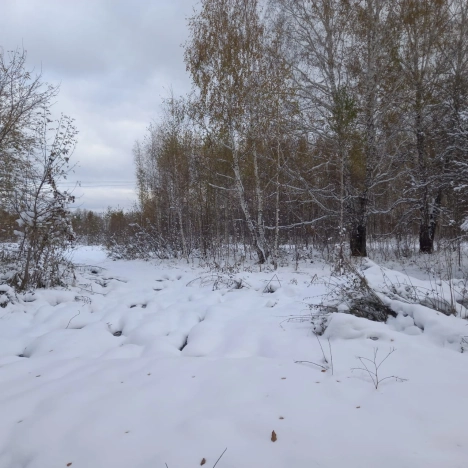 Купить земельный участок на улице 1-й проезд в Новосибирске. Вариант № 7707122, 4, площадь -  квм, цена 37200000 рублей