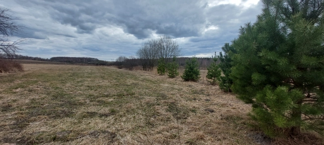 Купить дом в Судогде. Вариант № 32461, 29, площадь -  квм, цена 800000 рублей