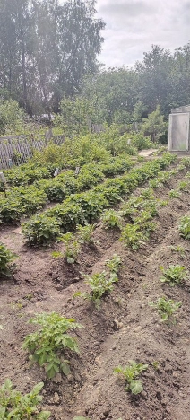 Купить дачу в Тюменской области. Вариант № 58391, 17, площадь -  квм, цена 1600000 рублей