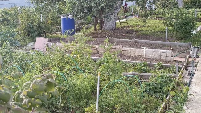 Купить дачу у метро Фабричная в Московской области. Вариант № 2831235, 24, площадь -  квм, цена 780000 рублей