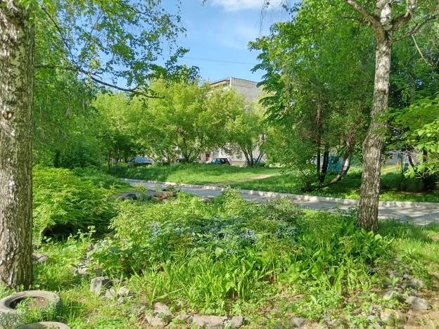 Купить трехкомнатную квартиру в районе Ленинский в Новосибирске. Вариант № 37780, 5, площадь -  квм, цена 4600000 рублей