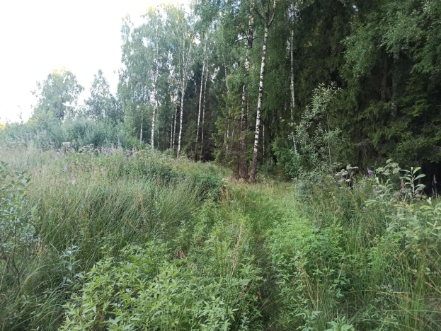 Купить земельный участок на улице Брусничная в Собинке. Вариант № 10736, 2, площадь -  квм, цена 399000 рублей