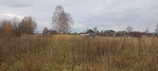 Купить земельный участок в Нижегородской области. Вариант № 8175666, 4, площадь -  квм, цена 800000 рублей