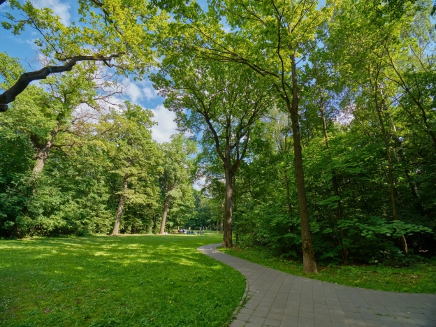 Купить квартиру в Москве. Вариант № 9216540, 23, площадь -  квм, цена 25000000 рублей