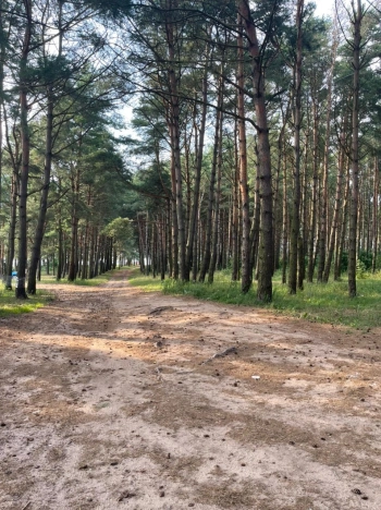 Купить таунхаус в Калининграде. Вариант № 14469, 16, площадь -  квм, цена 7800000 рублей