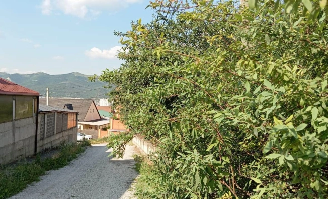 Купить дом на улице Октябрьский переулок в Новороссийске. Вариант № 9929, 15, площадь -  квм, цена 21998000 рублей