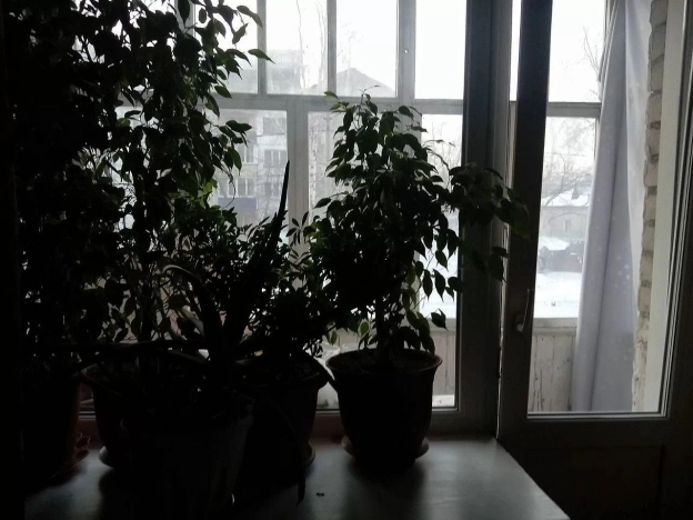 . Вариант № 42672, 8, площадь - 45 квм, цена 4500000 рублей