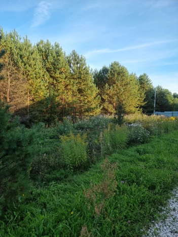 Купить земельный участок в Коврове. Вариант № 4850852, 9, площадь -  квм, цена 800000 рублей