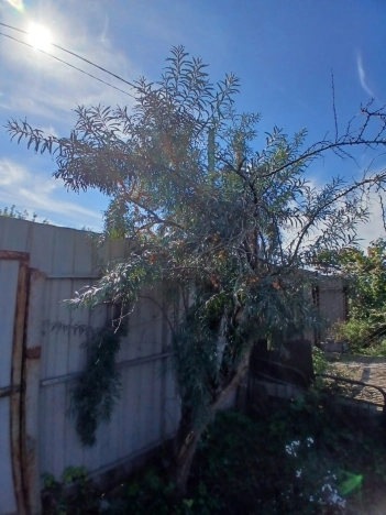 Купить земельный участок в Искитиме. Вариант № 3018272, 7, площадь -  квм, цена 1500000 рублей