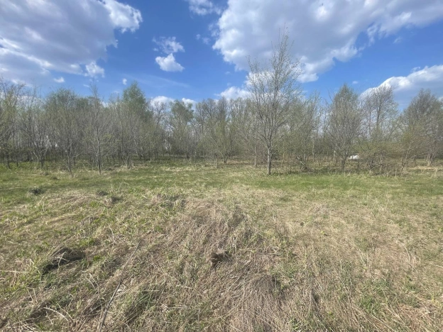 Купить земельный участок на улице 2-й проезд Добролюбова в Пензе. Вариант № 38596, 1, площадь -  квм, цена 700000 рублей