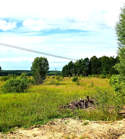 Купить земельный участок в Тульской области. Вариант № 3420, 6, площадь -  квм, цена 17800000 рублей
