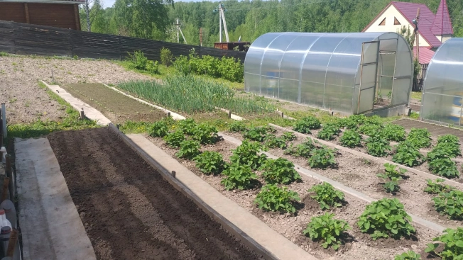 Купить земельный участок в Новосибирске. Вариант № 46029, 0, площадь -  квм, цена 2250000 рублей