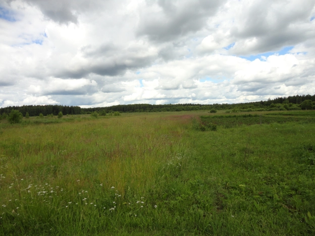 Купить дом в Судогде. Вариант № 23561, 16, площадь -  квм, цена 1400000 рублей