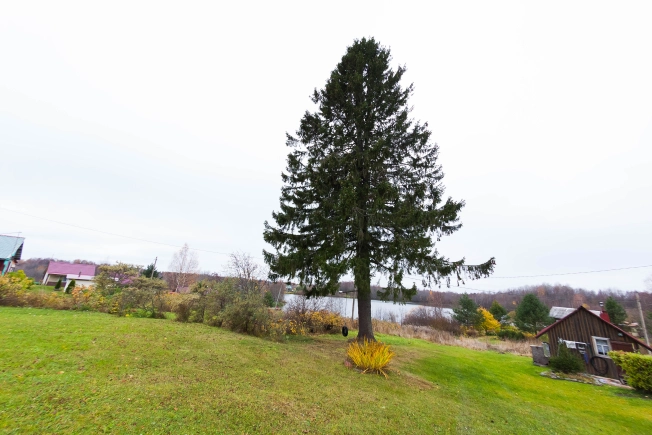 Купить земельный участок в Республике Карелия. Вариант № 14415, 16, площадь -  квм, цена 1000000 рублей