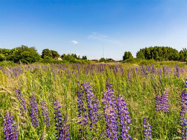 Купить таунхаус в Калининграде. Вариант № 6599, 9, площадь -  квм, цена 11500000 рублей