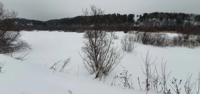 Купить земельный участок в Тобольске. Вариант № 36536, 1, площадь -  квм, цена 700000 рублей