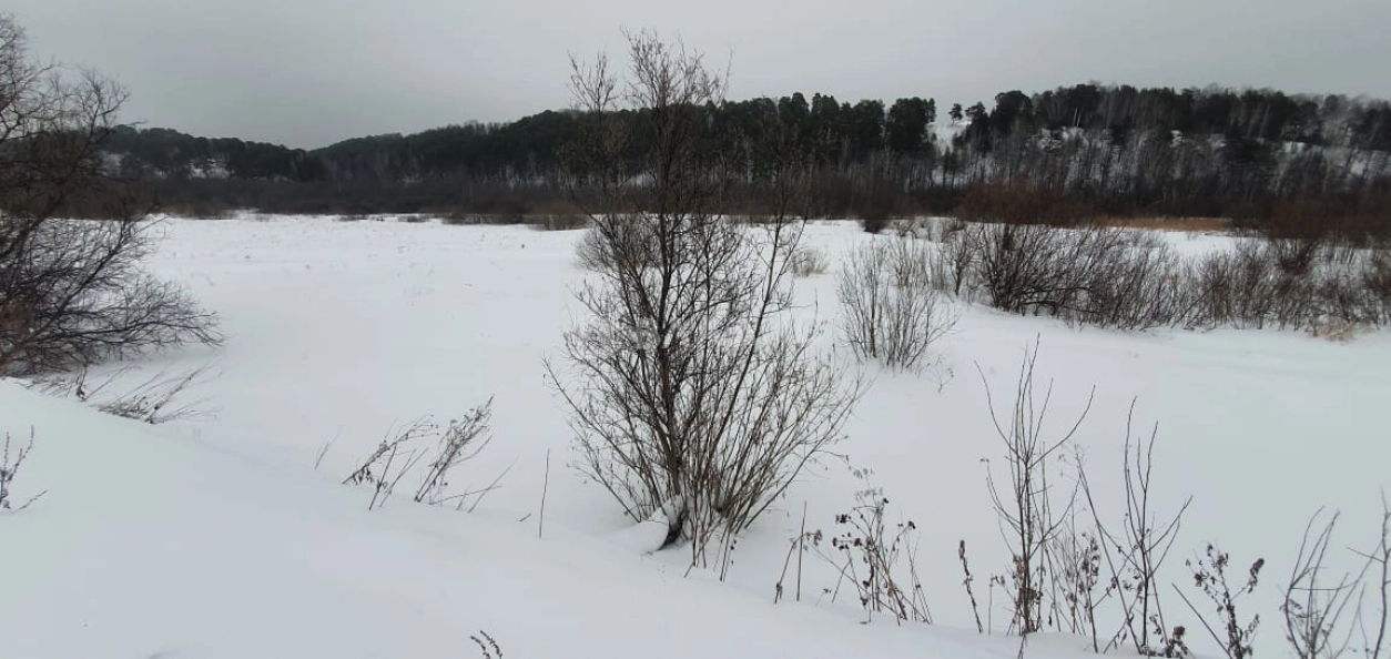 Photo https://36000382-a1c2-4a8a-a109-3fc3bfc73cf7.selcdn.net/App/Entity/ObjectRealty/ObjectRealty/JU/56ec8ac5-97f1-4a95-9fd1-5f6e4a55545f/UMlrgbNLC1yceLVPCwm6tDVaq9tKzthUpXNe29nc.jpg.compressed.webp