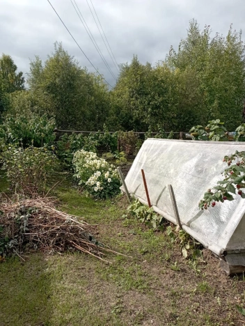 Купить дачу в Тюменской области. Вариант № 3882854, 7, площадь -  квм, цена 950000 рублей